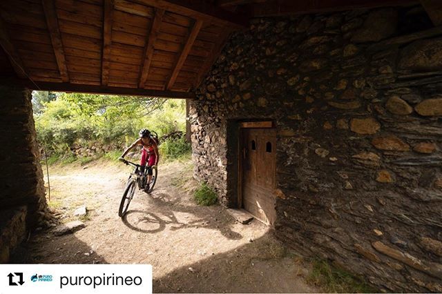 Y…. La foto del día es para…. @puropirineo . Si, estamos en otoño ¿Y qué? Antes de que llegue el frio intenso y las nieves todavía podemos disfrutar del territorio #btt que tenemos en el #valledebenasque. Let´s go! ift.tt/2Ru7Vp8
