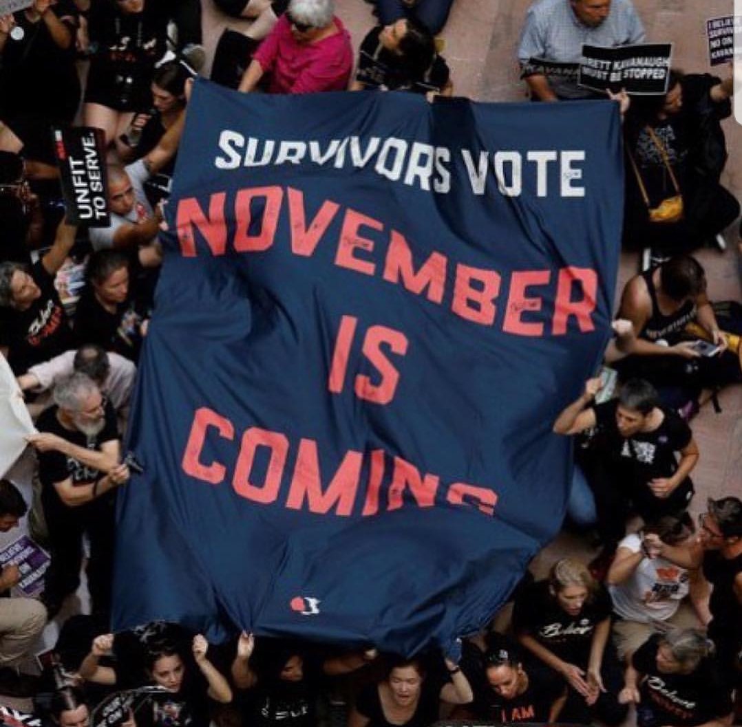 LynCKos's tweet photo. America said it when they elected Trump, by votes or by refusing to vote the top of the ticket, and the Senate will confirm it today when they give Kavanaugh a lifetime seat on SCOTUS: 

Victims of sexual assault do not matter.

Women do not matter.

😢

#KavanaughVote #WhyICry https://t.co/XEE2UKShct