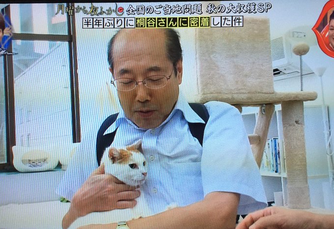 月曜から夜更かし 桐谷さん 猫飼いたい 発言に批判殺到 ちゃんと世話できる まとめダネ