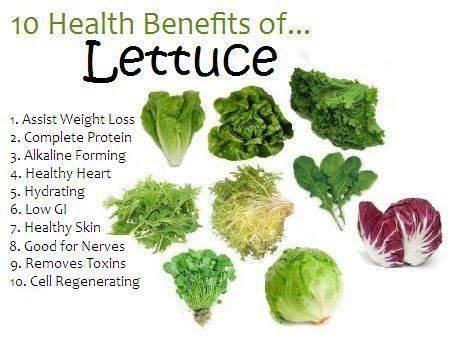 Health Benefits of Lettuce! #Lettuce #Protein #CellRegeneration #HealthBenefits #Health #Healthy #RemovesToxins #EatBetter #FeelBetter #Salad #Food #Yum #Delicious #MakeFoodFun #Hydrating #Skin #Cell #Regenerating #Alkaline #SkinHealth #EdenGarden #Mississauga