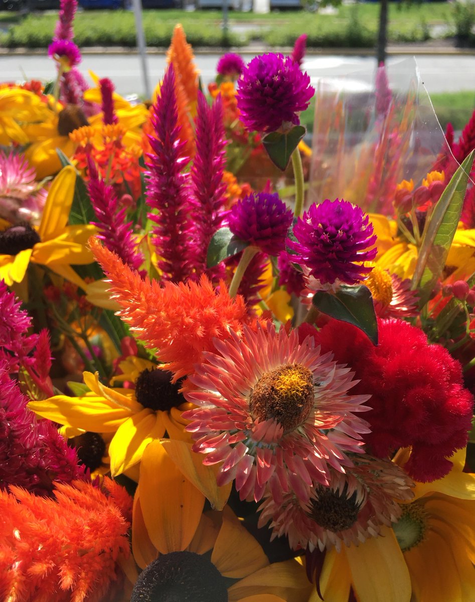 The perfect day to explore Market Live &amp; The Farmers Market... you never know what you might find! 😉