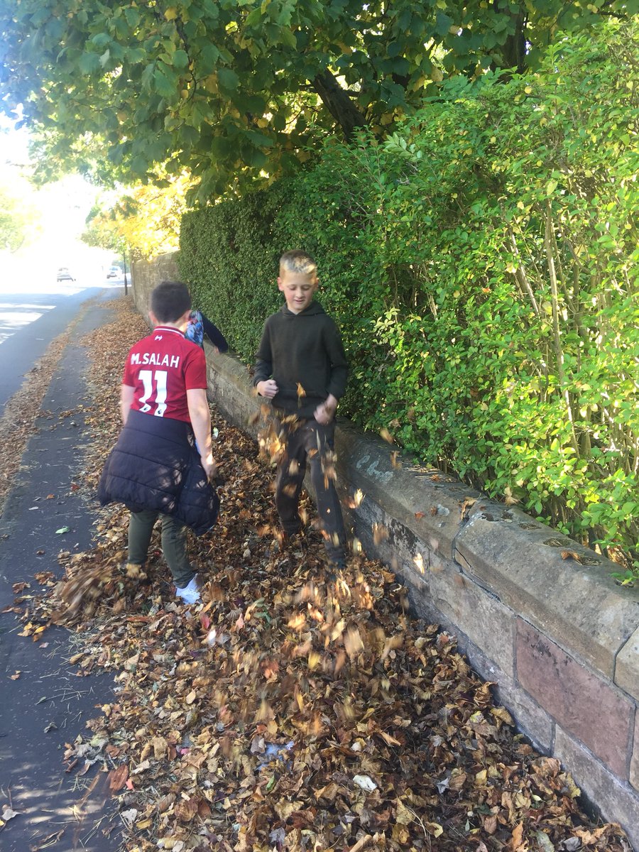 stacey_munro_'s tweet photo. Logan’s #healthypledge is to walk/run for 15 mins per day 2day we went along Blackford glen along hermitage park through the pond up some hills & back to the glen! #hardworkpaysoff #learning #resilience #healthandwellbeing #goodhomework #livelovelearn @Castleview_PS 📙🚶🏼♂️🍏#teamCV https://t.co/RKfpYEiXR6