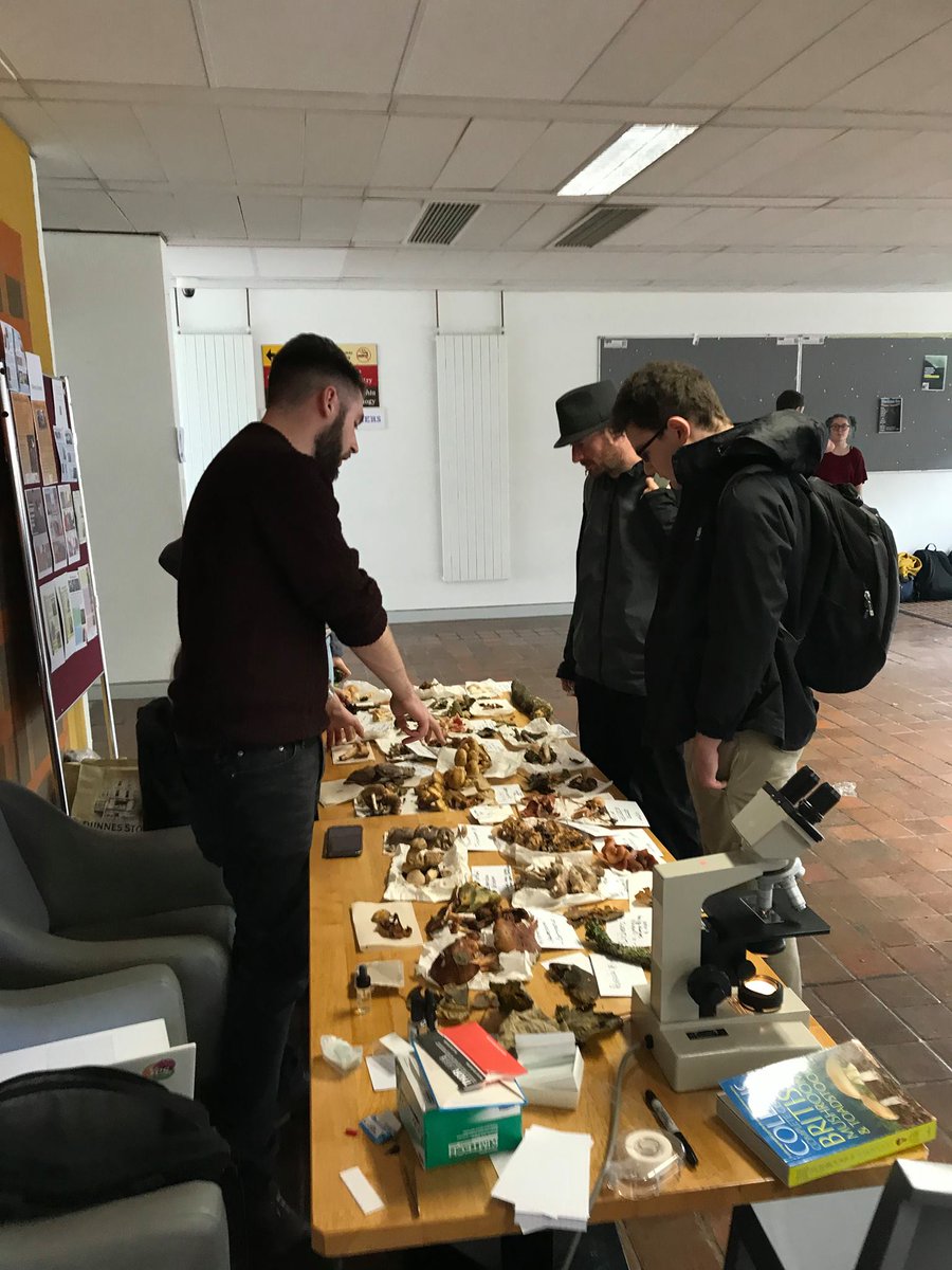 BotSocNUIG's tweet photo. We had a fantastic #FungusDay Galway! https://t.co/i8x5AfI5TB Thanks again to @ukfungusday and @MicroscopyIrl for sponsorship and equipment! #UKFD https://t.co/WcYaYvi16e