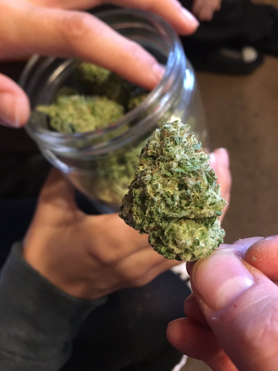 suiteleaf's tweet photo. Hey Portland! Come visit our booth & see this amazing freeze dried bud grown with @suiteleaf by #ExcelsiorExtracts 😎🔥#MECANN18 #NECANN #Maine https://t.co/HAYP5Ux5PR