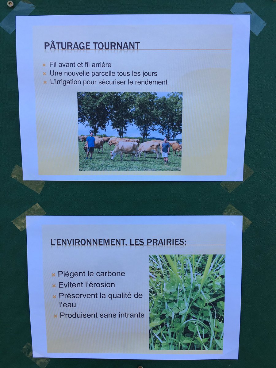 AdrienLeLay's tweet photo. Visite du jour : EARL de Loran #CeuxQuiFontLeLait #Jersiaises #paturage https://t.co/HQHbmQdgRQ