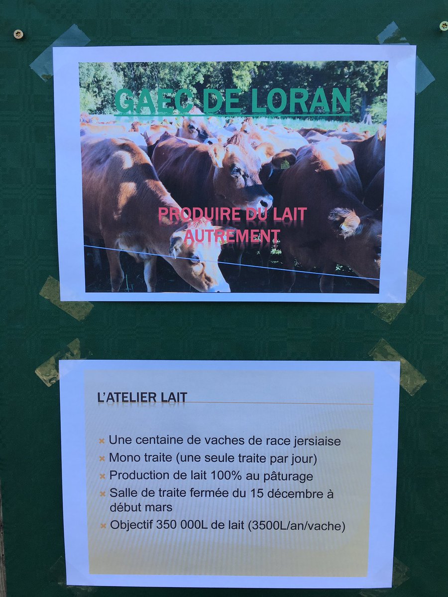 AdrienLeLay's tweet photo. Visite du jour : EARL de Loran #CeuxQuiFontLeLait #Jersiaises #paturage https://t.co/HQHbmQdgRQ