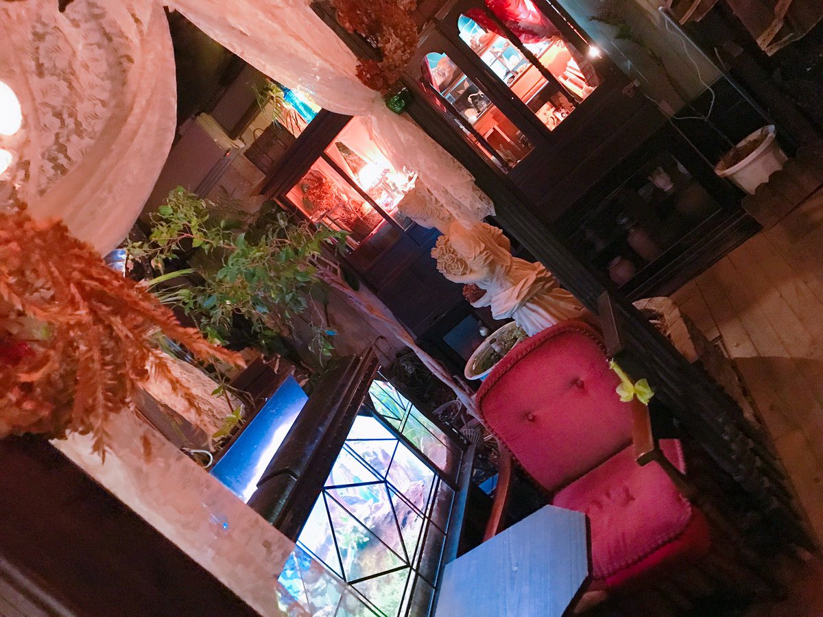 魔界の林檎 エセルの中庭 高円寺 よく行きます 下の階にアール座読書館という私語禁止のカフェもあります エセルのドリンクはとても好みで 毒林檎の紅茶をよく頼みます 昼間は明るく 夜は照明が落とされて星空が天井に現れます アルコールも提供