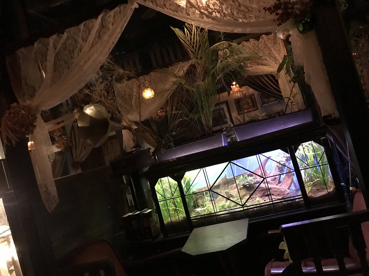 魔界の林檎 エセルの中庭 高円寺 よく行きます 下の階にアール座読書館という私語禁止のカフェもあります エセルのドリンクはとても好みで 毒林檎の紅茶をよく頼みます 昼間は明るく 夜は照明が落とされて星空が天井に現れます アルコールも提供