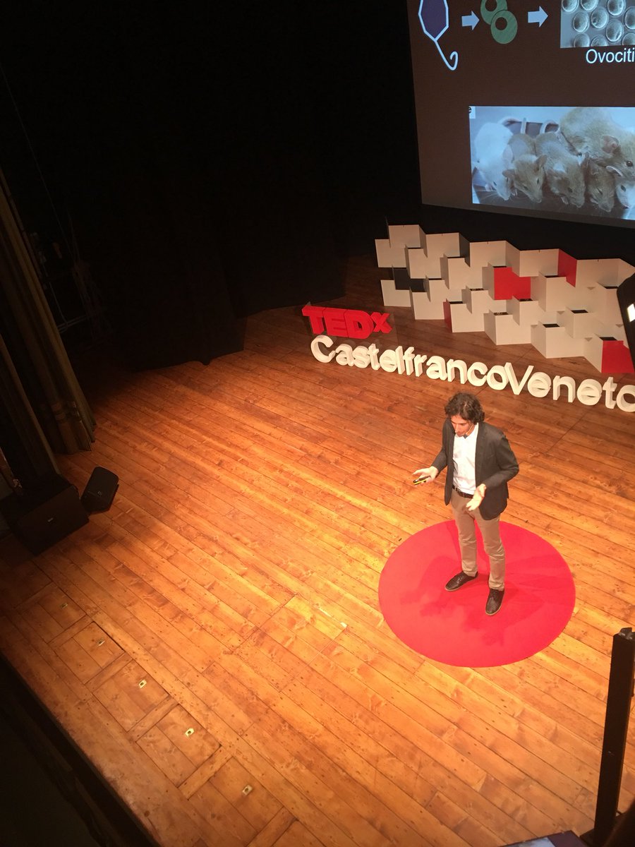 Gaa_brielaaa's tweet photo. #Frammenti Topolini, madri e padri 😃
@TEDxCastelVto @Miriam_Conti @mttgarz @GiuliaScattolon @ValentinaRiello https://t.co/2Re7po6dN1