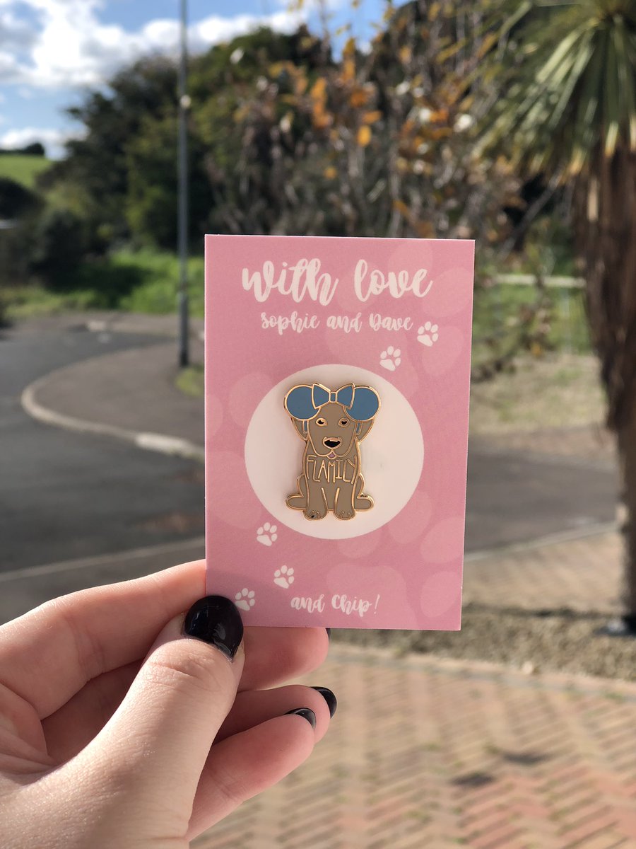 karen_brown95's tweet photo. Chip has arrived in sunny Northern Ireland. 🌈 so pleased to have this! Thank you @itsSophieBelle + @TheDaveMonster 🤗 #chipflamily. https://t.co/ZJuSjs7LzB