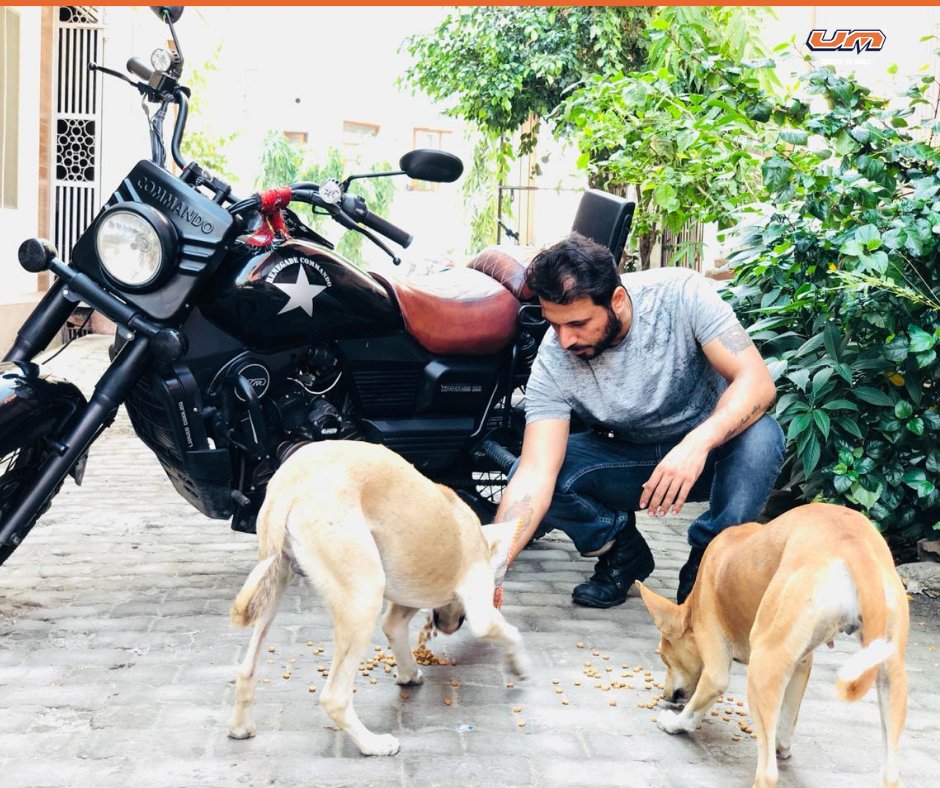 xBhp's tweet photo. Seamless tarmac, wind in your face… and puppy drool! This World Animal Day, @UMMotorcycles partnered with @Friendicoes_DEL to facilitate adoption and donation for the upkeep of shelter animals. Check out some snippets of #UMRenegadePetDate #RideTheDifference #UMMotorcycles https://t.co/eJFloR6jTd