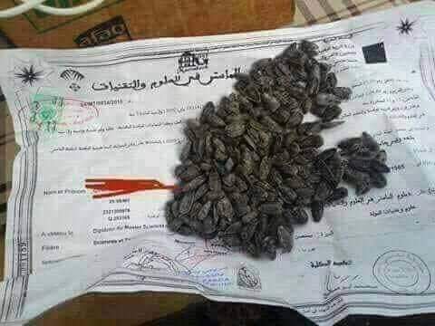 Fatma6783's tweet photo. خذيت بدينار قلوب عطوني شهادة الماجستير
كان خذيت بخمسة ألاف لوز يعطوني الدكتوراه😌 😂😂 https://t.co/lx8WNlbyXW