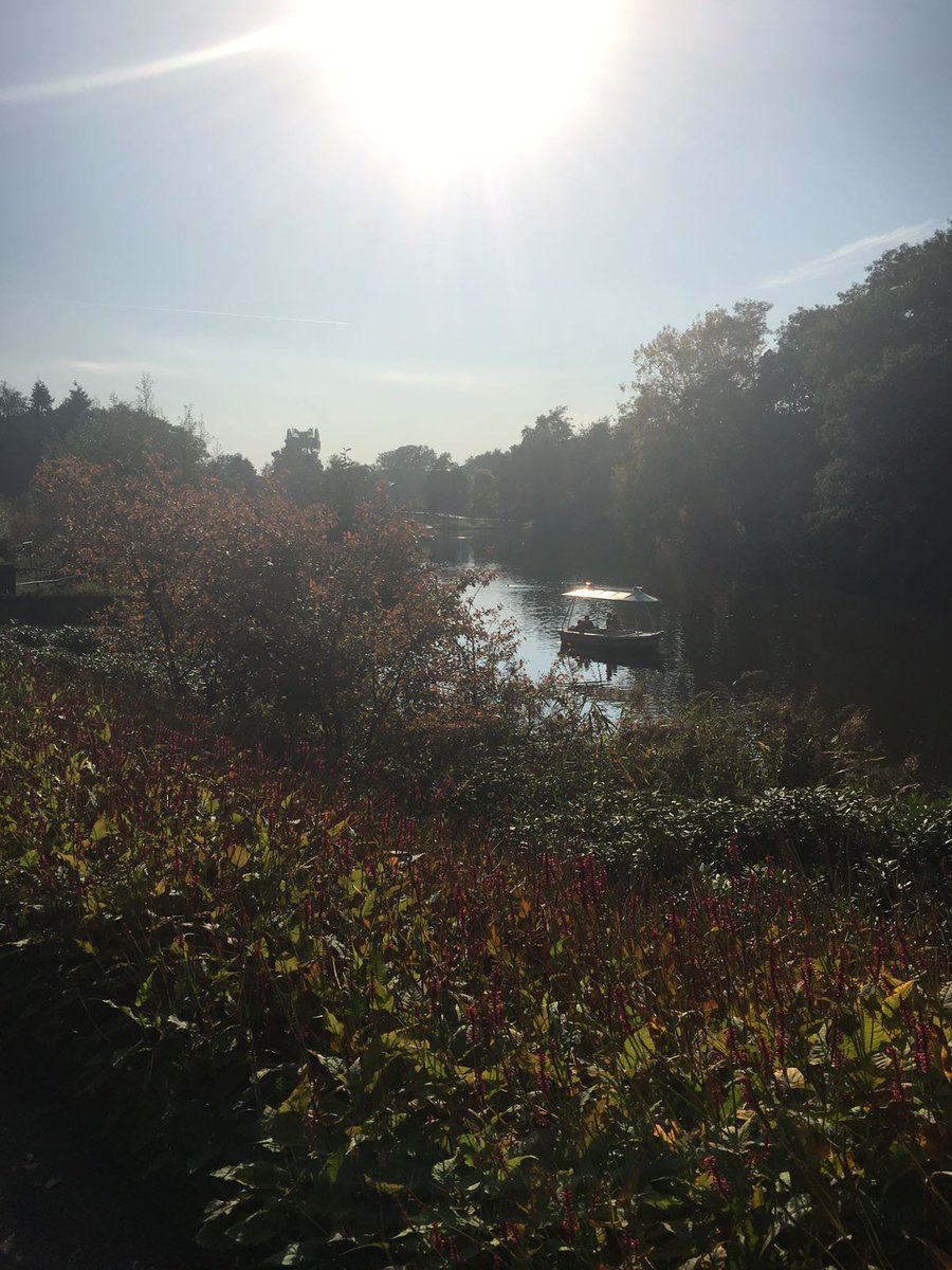 mark__bakker's tweet photo. Weg van de hectiek @Efteling #eftelinglive https://t.co/4gUxxiupDh