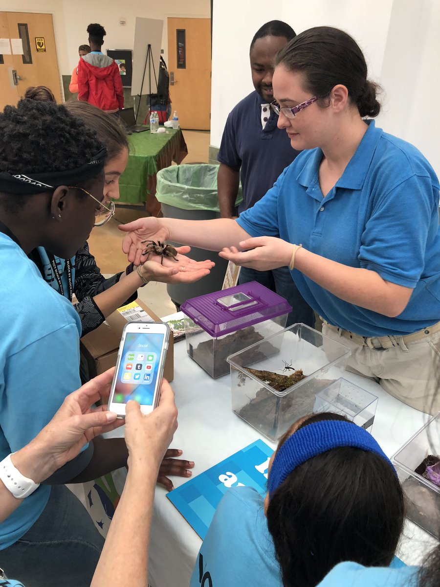 Nelsep4's tweet photo. Creepy crawlers galore!! #STEMCraft2018 #IBP #PCCYteam https://t.co/JdQTrRsdqD