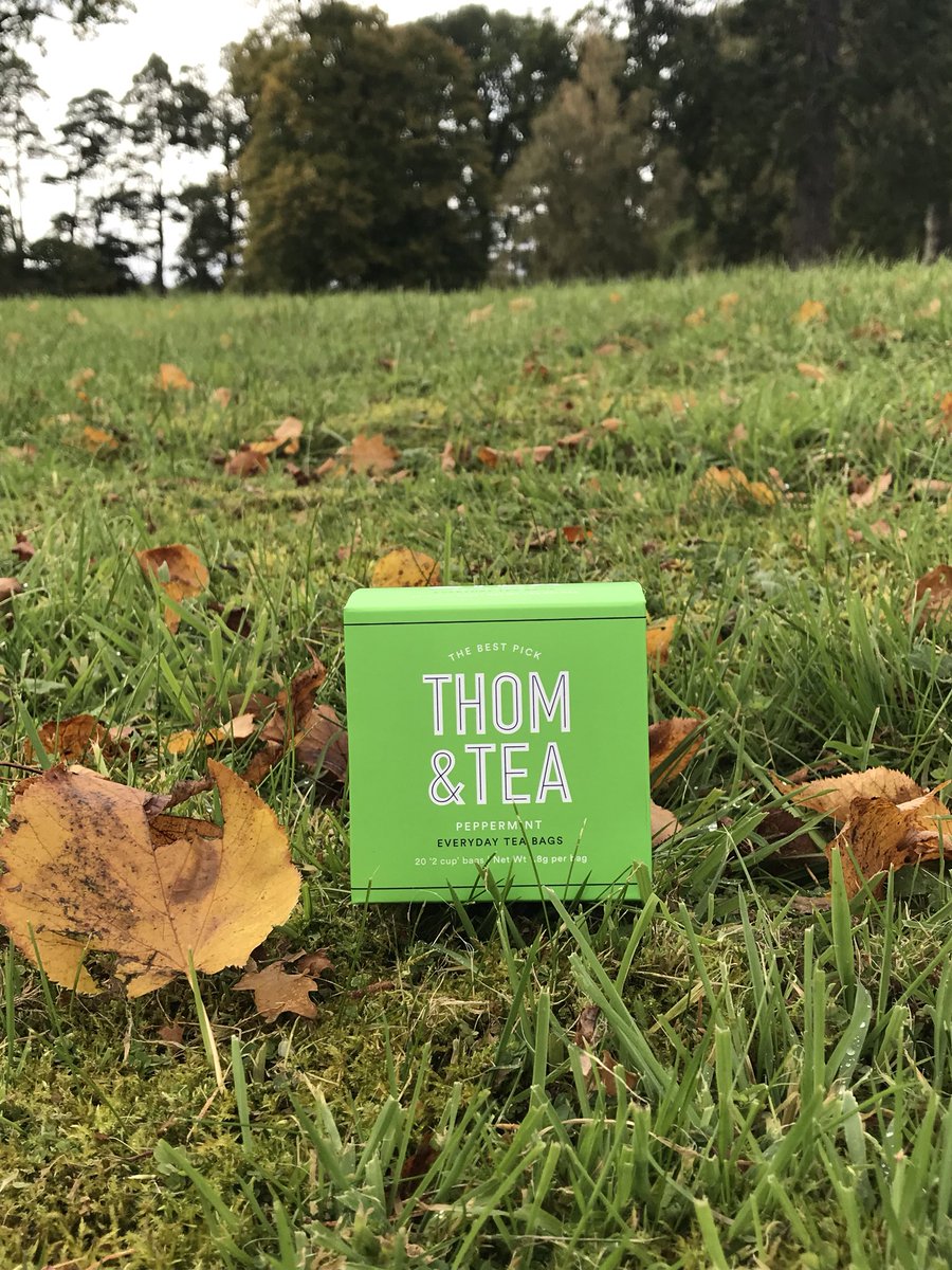 thomandtea's tweet photo. AUTUMN DETOX // Our Everyday Peppermint Tea Box is now in store online  #thomandtea #premiumtea #pepperminttea #scottishtealife #blendedinscotland #tea #autumn https://t.co/ysgI0PaAXK