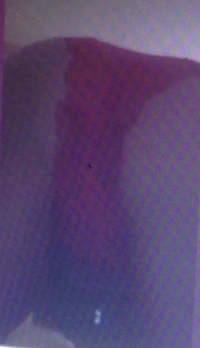 SpoiltPrincess tweet media