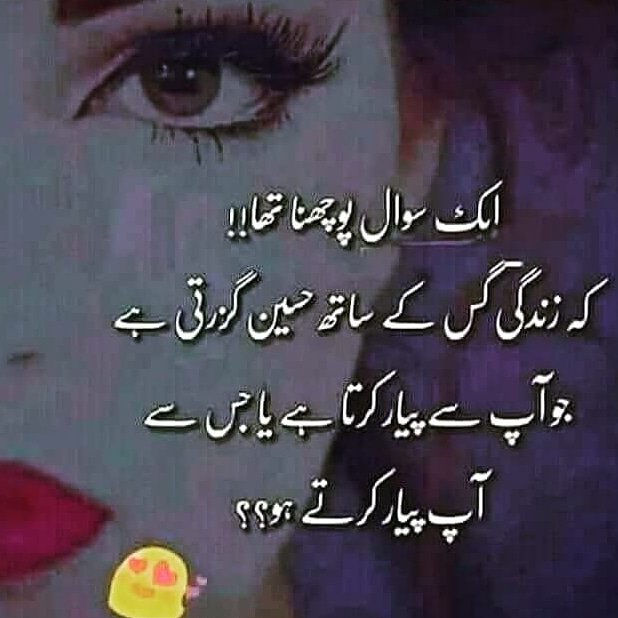 HayatKh56926657's tweet photo. @DashingBacha9 @safia9876 @Umbeeeeerrr1 @aashna_aabshar @mdsonukhan134 @MdSonuK43199372 @Sofia64850604 https://t.co/o9TCI0SJls