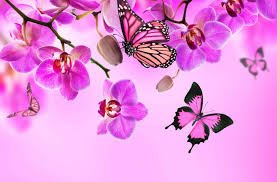 captain_mehyar's tweet photo. @BanRuu @IslandGirl_1111 @Nadia___24 @nami_3535 @15708f2085c3420 @1Monroepearl @111kateKate @liza_2313 @26_Kesley_26 @DLees28 @marro_n0109 @610Acoustic @SeXyPink_7 @sara_7750 @Jn_7L @StardustSoul7 @barbie_b78 @822pudding @geanny83 @CathrineMarie89 @95ebc7143a5340c @danchantall9 https://t.co/Sj0tQD13b3