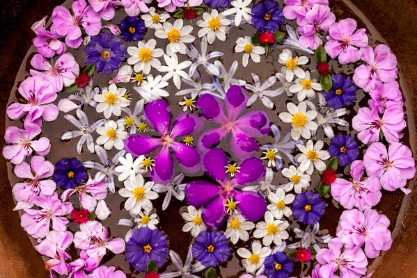 captain_mehyar's tweet photo. @BanRuu @IslandGirl_1111 @Nadia___24 @nami_3535 @15708f2085c3420 @1Monroepearl @111kateKate @liza_2313 @26_Kesley_26 @DLees28 @marro_n0109 @610Acoustic @SeXyPink_7 @sara_7750 @Jn_7L @StardustSoul7 @barbie_b78 @822pudding @geanny83 @CathrineMarie89 @95ebc7143a5340c @danchantall9 https://t.co/Sj0tQD13b3