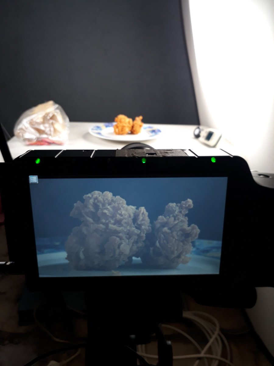 WowoHSV's tweet image. use 3 units of zylight F8 100 lights to make slowmotion videos from fried chicken. The camera I use is Fastec TS5Q which is capable of recording at 1,000 fps. @Zylight @Fastec @IDSlowmotion #Slowmotion #HighSpeedVideo #Fastec #TS5Q #Camera