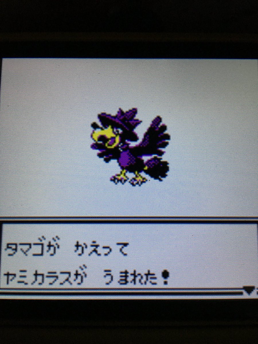 色違いポケモン紹介 Vc産ヤミカラス 自由に生きてあそblog