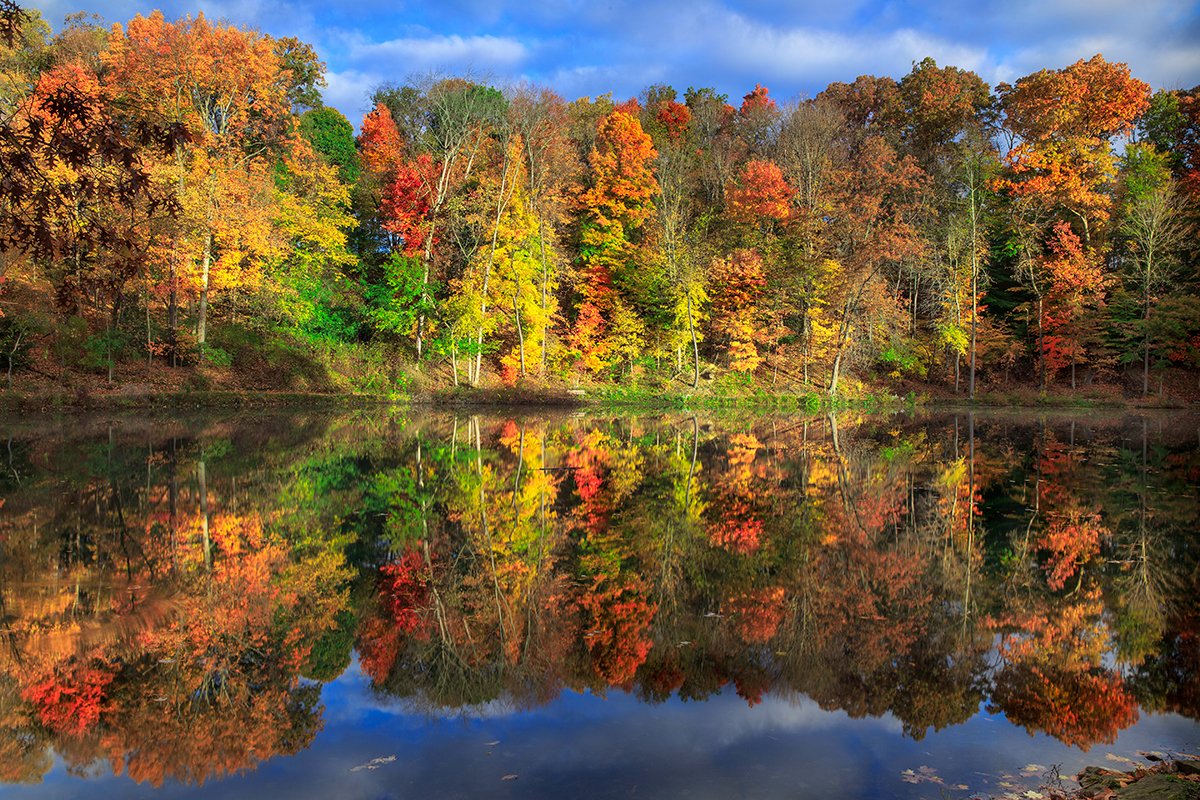 epfagallery's tweet photo. Perfect day for #PumpkinPicking, #coffee, and #apples ! #HappyFallChallenge https://t.co/m65wUnv229