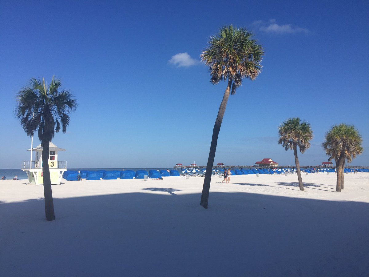 MomResource's tweet photo. Another beautiful morning in Clearwater! #sponsored Excited to take the @JolleyTrolleys to @CMAquarium @VSPC @BeachChamber #shareyourinfluence #clearwaterbeach https://t.co/Mw1XacRLFH
