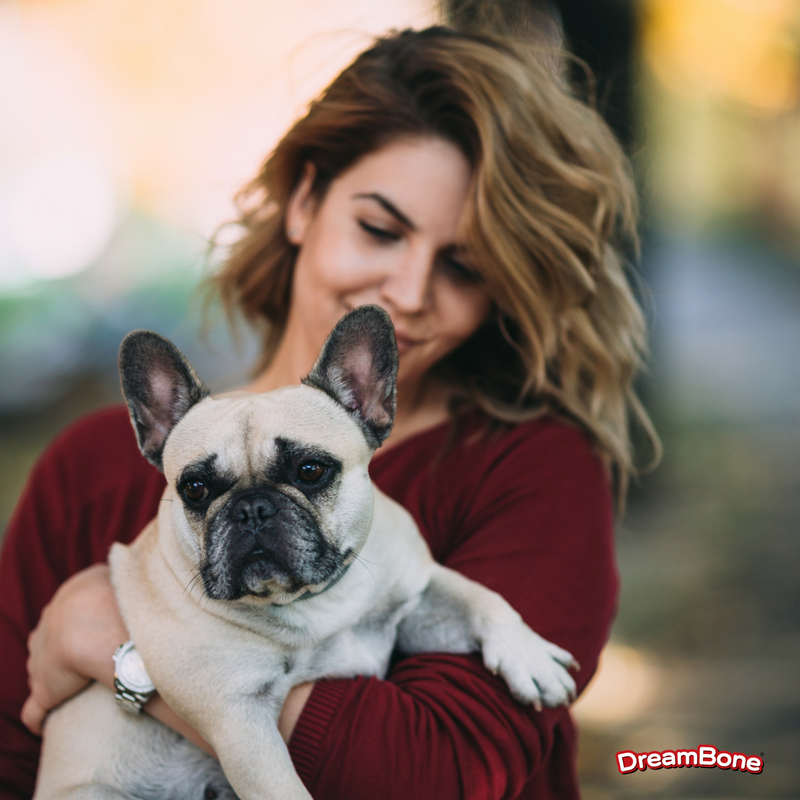 DreamBoneChews's tweet photo. Dog: Loyal, Best Friend, Protector, Heartwarming, Trustworthy, Perfect, Family.  
These are some of our favorite words to describe our furry BFF's. What are some of your favorite words to describe your pup?

#dreambone #bestfriend #dreambonechews https://t.co/C16MQXBpXU