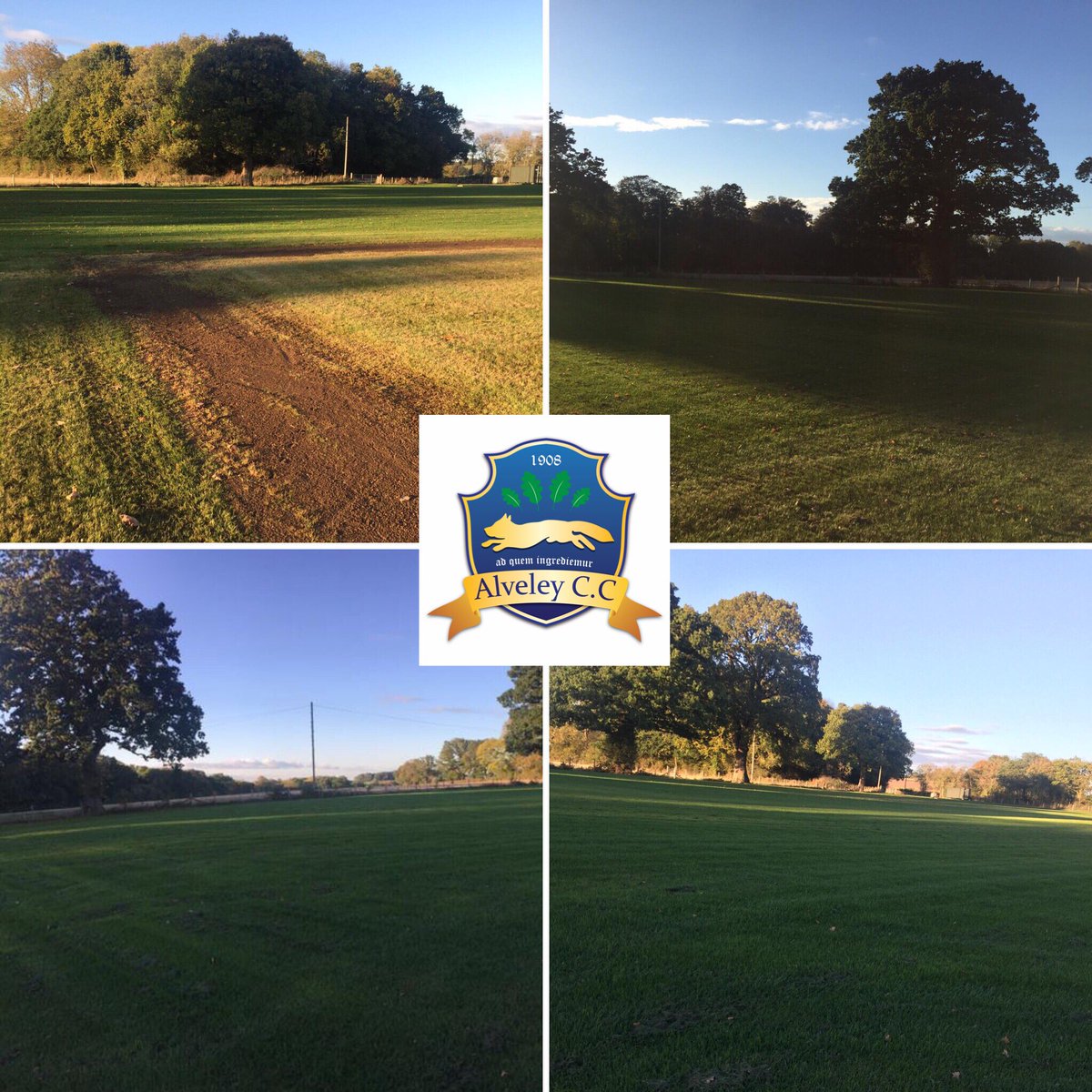 alveleycc photo