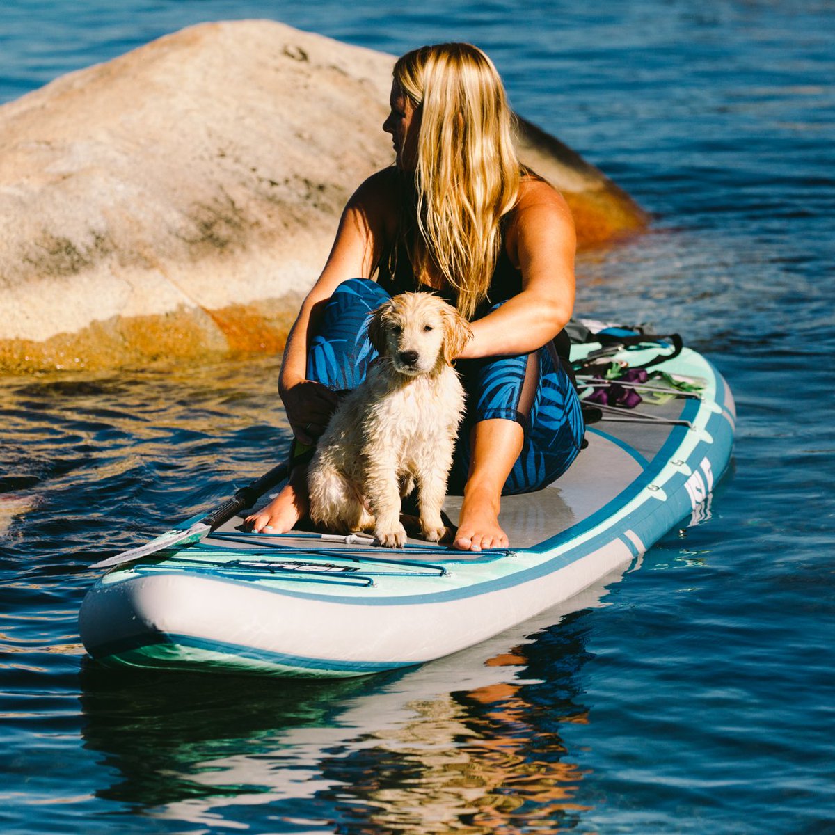 isleboards's tweet image. SUPpy dog 🐾
laurenadventuring
#ISLEsup #paddleboardingdogs #SUPpups