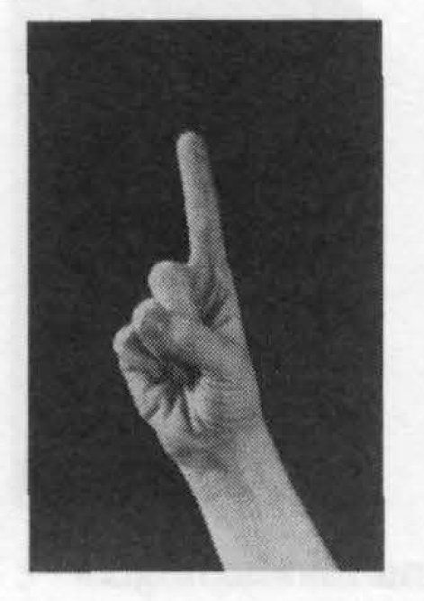 interphistory's tweet photo. IS #1nt strip signs down to unmarked handshapes. The top three (as in many natural SLs) are - @AndyCar70 @ASLIuk #ASLI2018 (credit: Linguistics of #BSL, Sutton-Spence &amp; @BencieWoll 1999) https://t.co/TySCzwJBsb