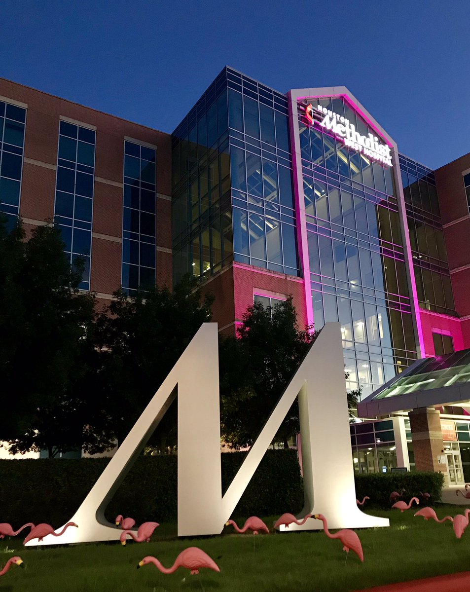 lissabustos's tweet photo. In the Land of M, a pink nation!
Breast cancer awareness month @MethodistHosp https://t.co/tmPsA9Iynd