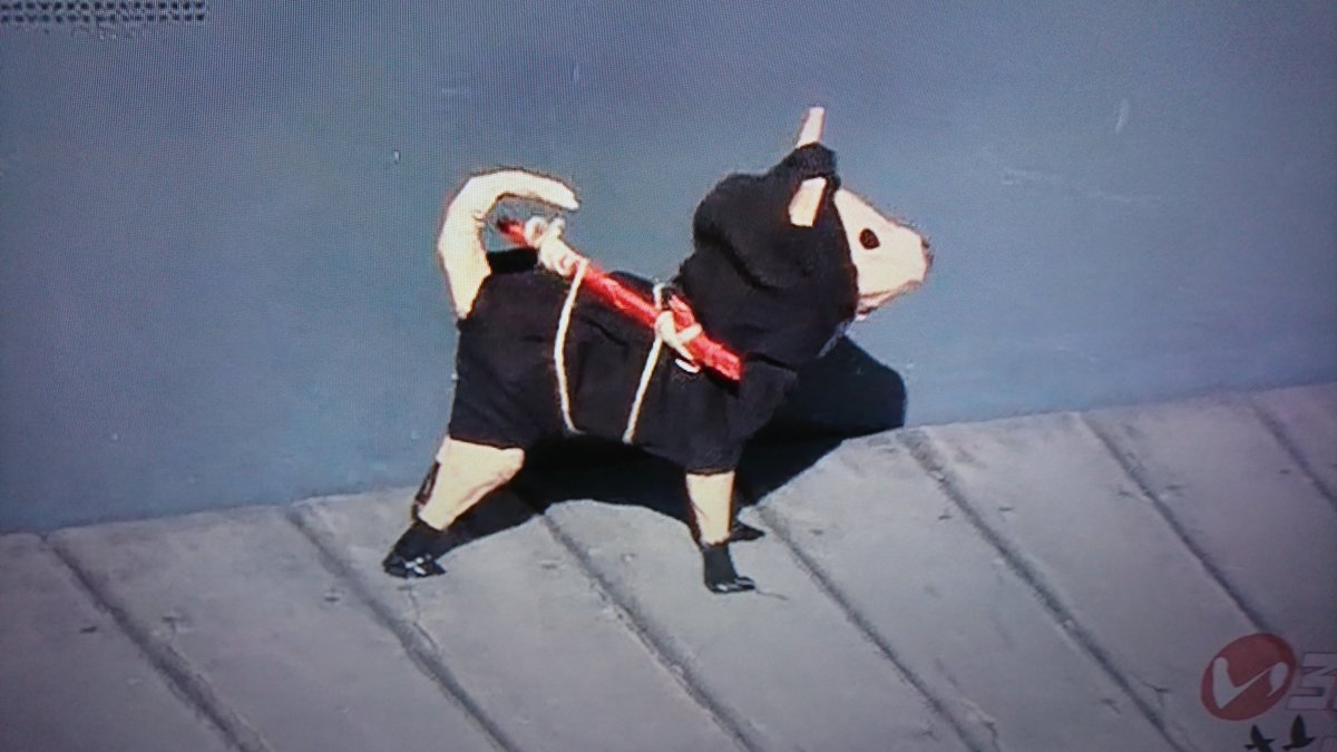 忍者犬