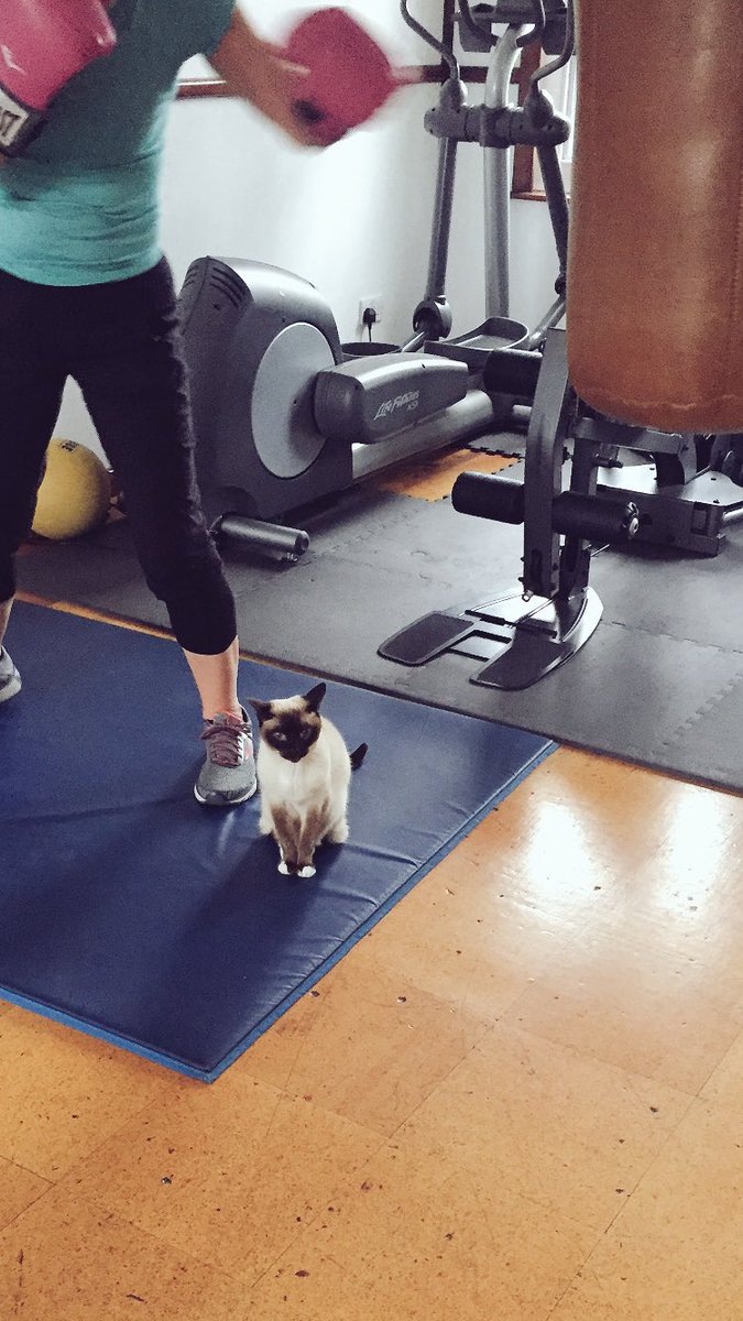 JaneFallon's tweet photo. Accident waiting to happen ... https://t.co/nlCnIkruQs