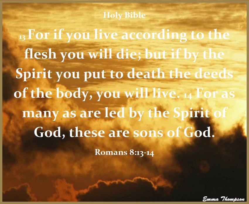 Emmathompson717's tweet photo. Signs of the Last Days® is a Christian Ministry that helps people understand the Scriptural prophecies of the last days and prepare for the return of Jesus Christ...
https://t.co/XWxUJ1hCyw
https://t.co/L6OXwAHjWp https://t.co/R0nEloUunQ