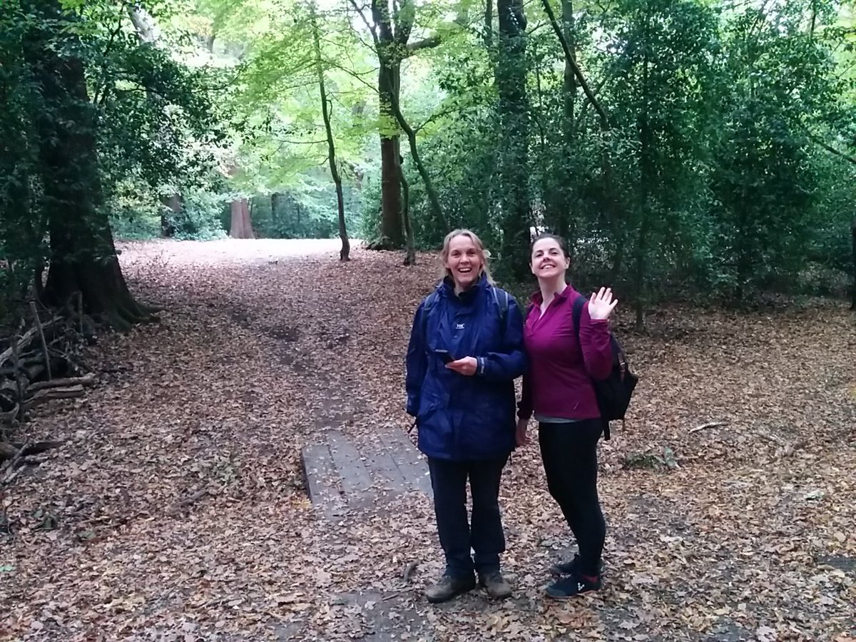 AlisonJArcher's tweet photo. Not much water in the #Moselle in #QueensWood, thank goodness it's #raining! #riverwalk #London #ecology #riversconnect #riversarelife @LondonNPC @CityCorpHeath https://t.co/6O6M09UAQc