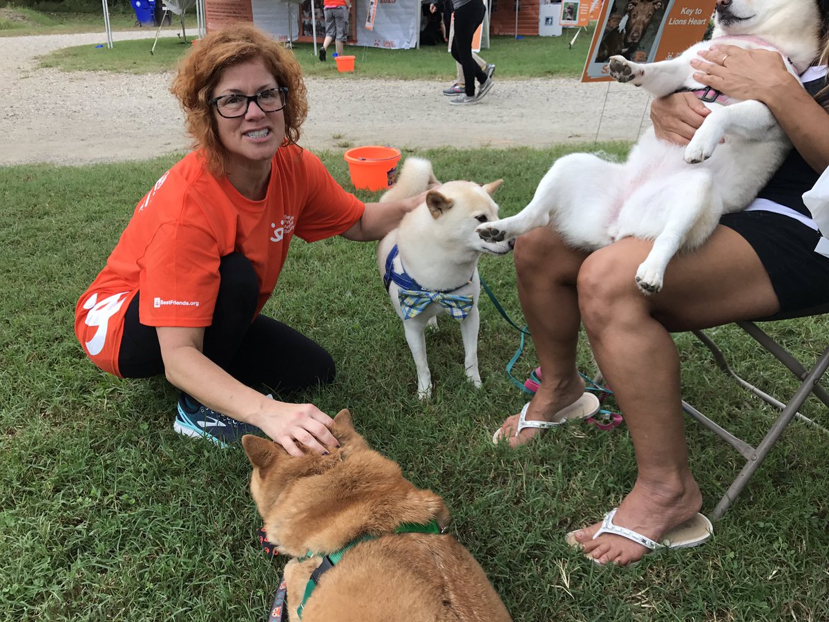 DCShibaRescue's tweet photo. #DCSIR #ShibaSquad getting some love at #StrutYourMutt from @bestfriends volunteers! Shout out to all the volunteers who make the event possible! ❤️ https://t.co/IuJDTtgAff