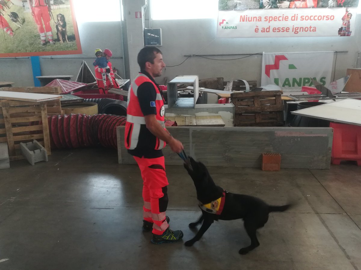 ceccoUnali's tweet photo. Al #REAS2018 ho fotografato questa simulazione di salvataggio con unità cinofila al padiglione di @Anpasnazionale. Ecco una delle mille facce della #prevenzione e uno dei tanti modi di comunicare i rischi, educando. #ProtezioneCivile https://t.co/gCZwqfYSfR