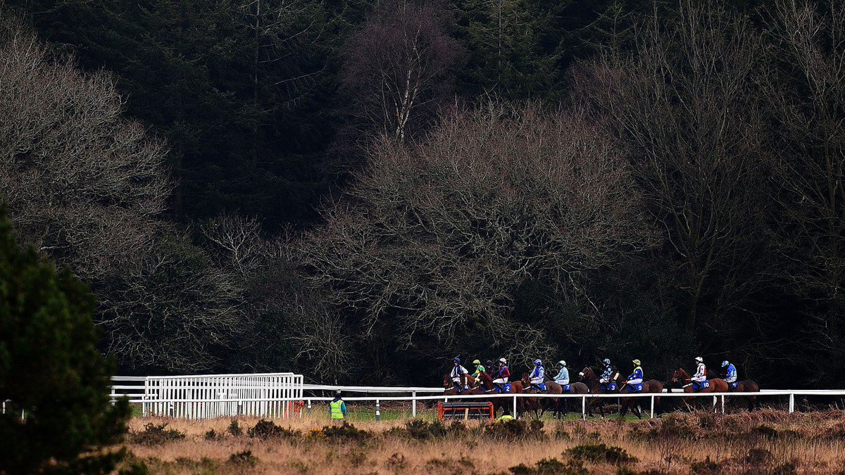 Racing Post On Twitter Hard Ground Forces Exeter To Pull Plug On Thursday Meeting Https T Co Fpveos3db5