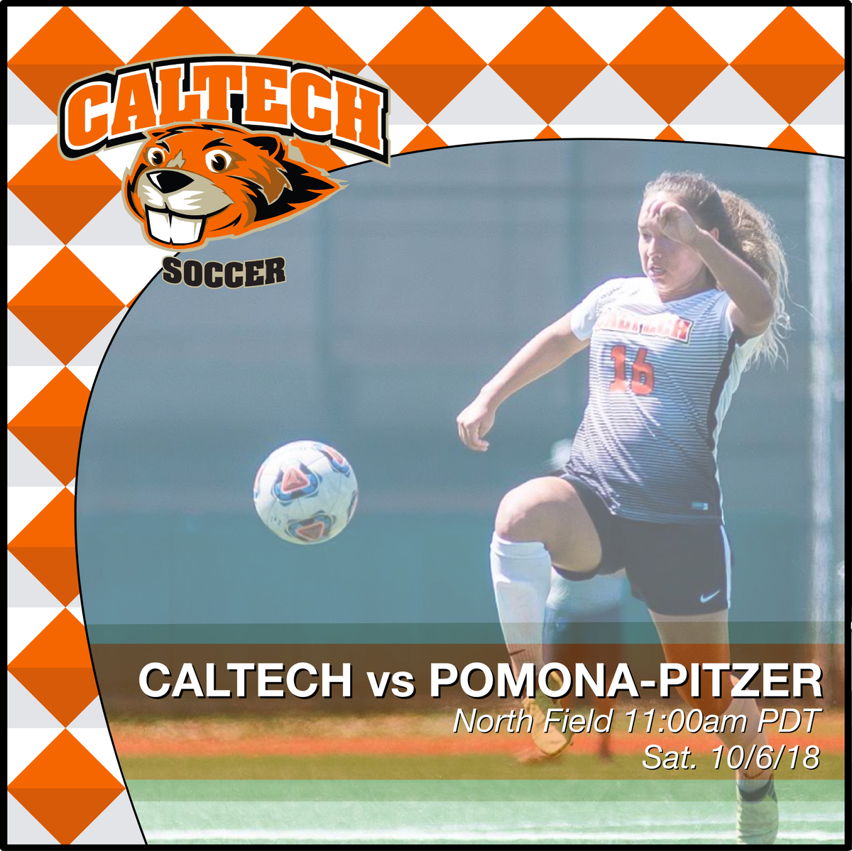 Caltech Beavers tweet media