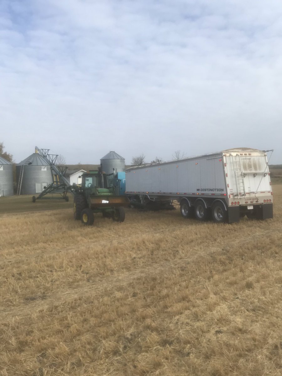 Beautiful Morning for unloading some canola from the dryer #Harvest18 <a href="/randygilchrist1/">Randy Gilchrist</a> <a href="/R_Gilly_18/">Ryan Gilchrist</a>