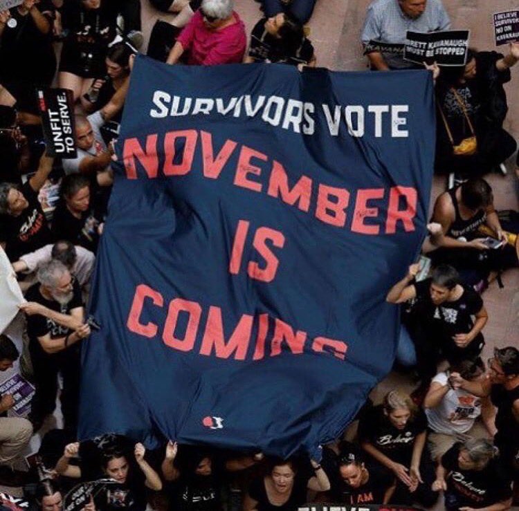 LaF3mm3Nikita's tweet image. #MarchToSaveDemocracy  
@March2SaveD 
savingdemocracymarch.com 
@AmandiOnAir @MalcolmNance