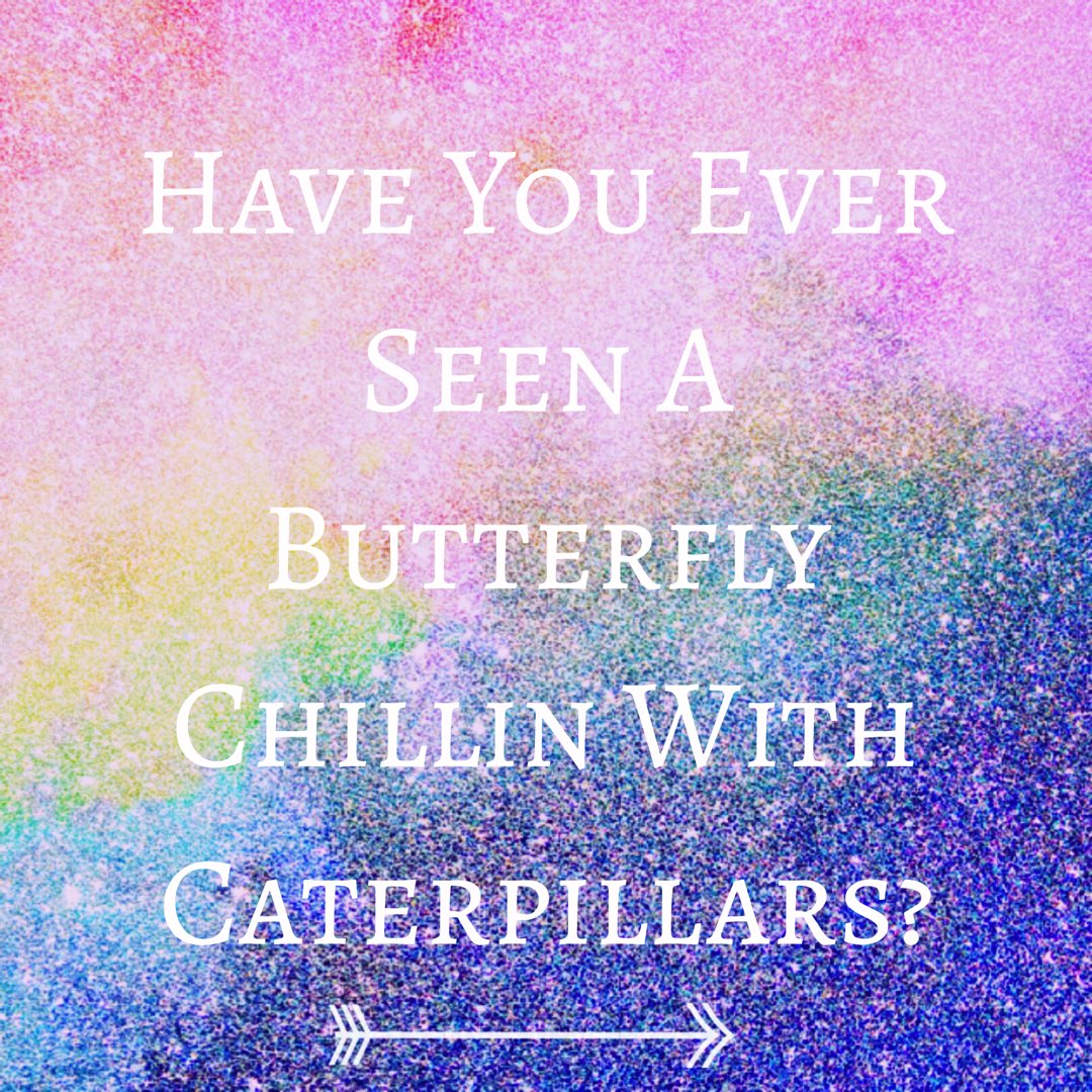TheAndreaPolito's tweet photo. Be the butterfly....💜 https://t.co/kER4Fo0z9y