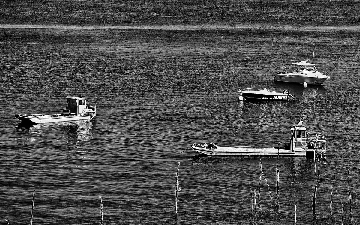 AlmansaJean's tweet photo. Un joli coin du bassin d'Arcachon. https://t.co/xXDhM4DRzK