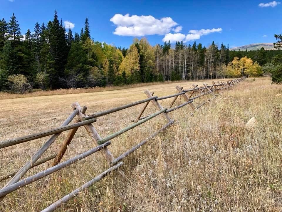 January__Spring's tweet photo. As if you needed further proof that #MotherNature loves #Colorado best! #Home #Fall #JanuarySpring https://t.co/4DGuZJE4Ls