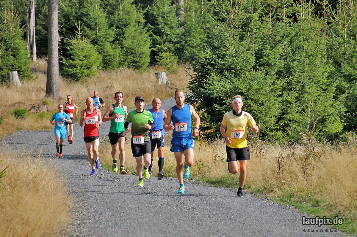 LaktatFraggle's tweet photo. Fotos Rothaarwaldlauf https://t.co/FN6fKA4VmG https://t.co/jUrjnwpxuW