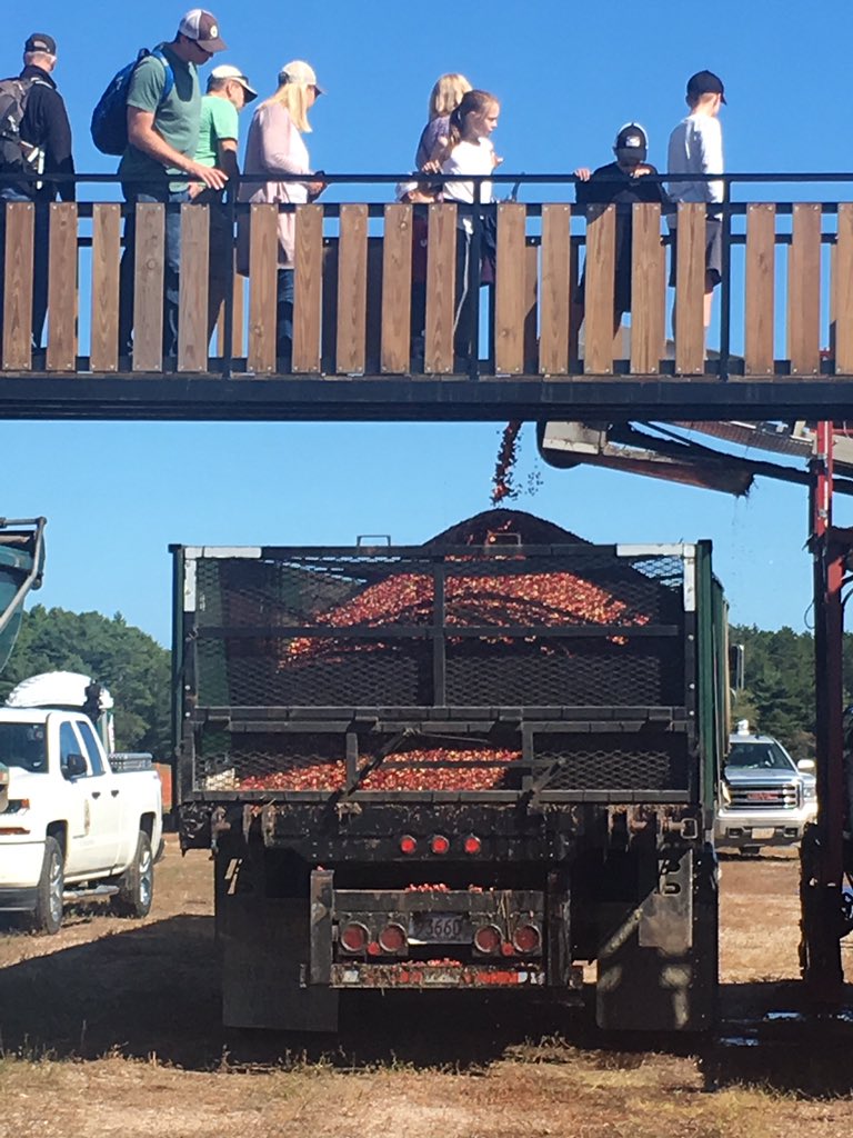 KarynPolito's tweet photo. I’ll never take a cranberry for granted after seeing our cranberry bogs at work! We are blessed with the sand &amp; temparture conditions conducive to cranberry growing - buy local &amp; support @MassCranberries @admakepeace #CranDay18 https://t.co/eOVYKaq5eI