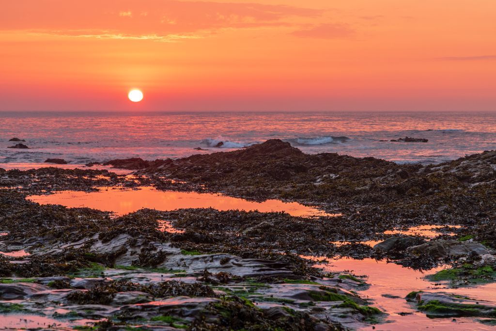 CJWimages's tweet photo. Evening on the beach between #Polzeath and #Daymer Bay in #Cornwall, the orange and pink setting sun reflects on the rock pools left by the falling tide. Magical moments
https://t.co/eAYcfagup3
#wallart #artprint #homedecoration #design #photography #cornwallprints https://t.co/6C2KAp0MRi