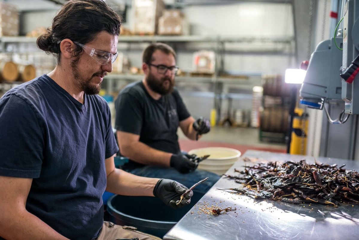 FirestoneWalker's tweet photo. Holy Mole! We’re releasing three Merkins today: Mole Merkin (300 cases produced, FW locations only), Chai Merkin (draft only at FW locations) & our traditional Velvet Merkin (full distribution). Stop by to taste the trifecta! #barrelagedstout #VelvetMerkin #YesWeKnowWhatAMerkinIs https://t.co/DqCQlt2t2u