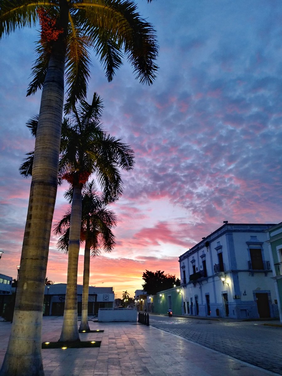 Figure8EG's tweet photo. Pinceladas por las mañanas
#dawn #CAMyC #Campeche https://t.co/tQa9k0hzxF